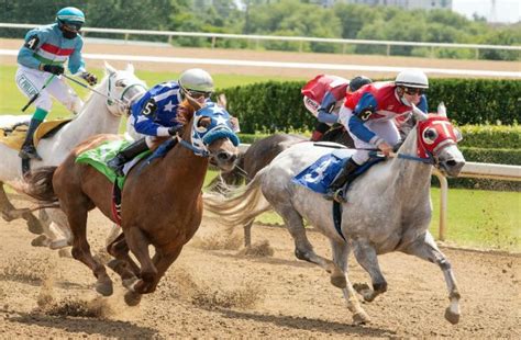online horse racing betting|Horse Racing Betting & Latest Horse Racing Odds.